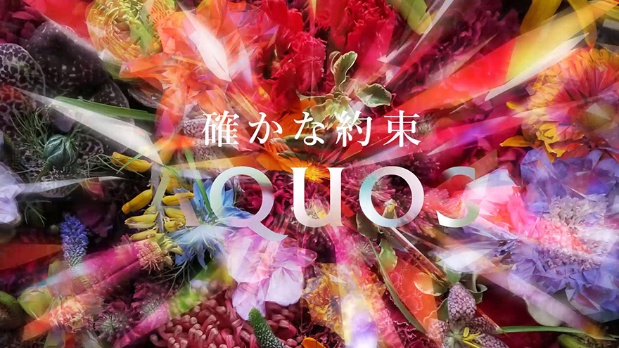 SHARP AQUOS Brand ID