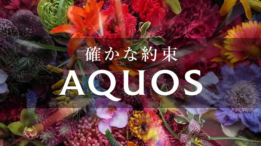 SHARP AQUOS Brand ID